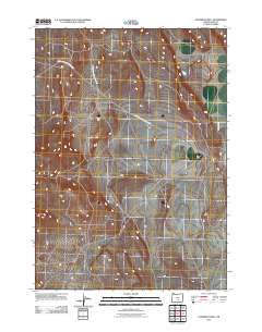 2011 Map of Goodrich Well, 2011 Print