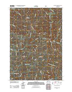 2011 Map of Goodwin Peak, 2011 Print