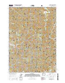 2014 Map of Goodwin Peak, 2014 Print