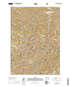 2020 Map of Goodwin Peak, 2020 Print