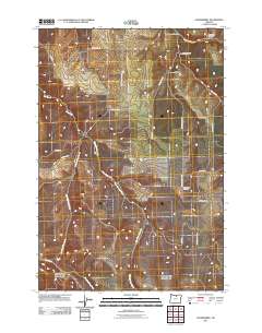 2011 Map of Gooseberry, 2011 Print