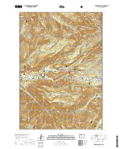 2020 Map of Government Camp, 2020 Print