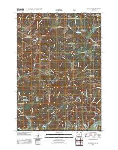 2011 Map of Grass Mountain, 2011 Print
