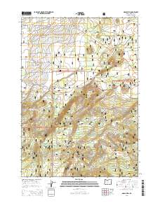 2014 Map of Grass Well, 2014 Print