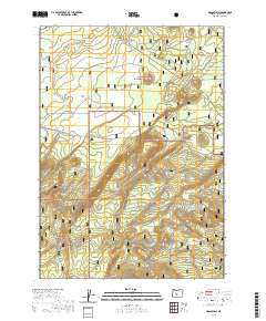 2020 Map of Grass Well, 2020 Print