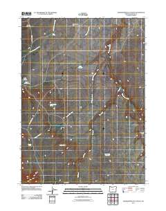 2011 Map of Grasshopper Flat South, 2011 Print