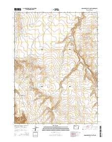 2014 Map of Grasshopper Flat South, 2014 Print