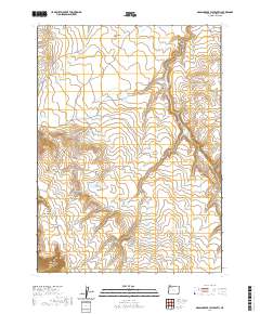 2020 Map of Grasshopper Flat South, 2020 Print