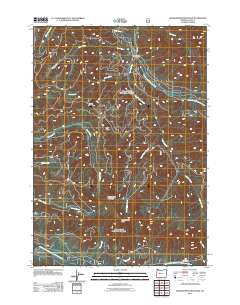 2011 Map of Grasshopper Mountain, 2011 Print