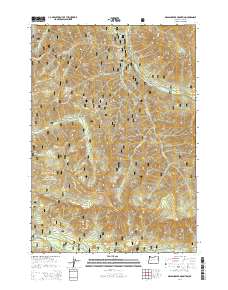 2014 Map of Grasshopper Mountain, 2014 Print