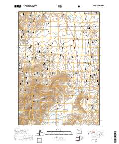 2020 Map of Gray Butte, 2020 Print