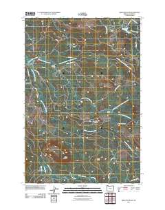 2011 Map of Green Mountain, 2011 Print