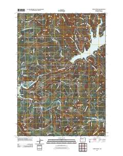 2011 Map of Green Peter, 2011 Print