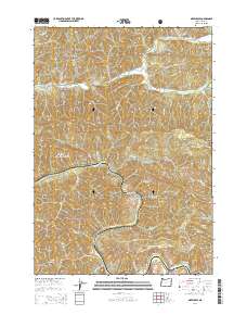 2014 Map of Greenleaf, 2014 Print