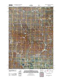 2011 Map of Grizzly Mountain, 2011 Print