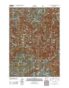 2011 Map of Groundhog Mountain, 2011 Print