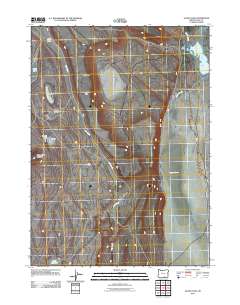 2011 Map of Guano Lake, 2011 Print