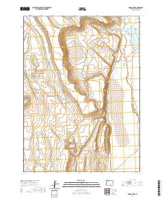 2020 Map of Guano Lake, 2020 Print