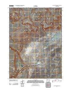 2011 Map of Guano Reservoir, 2011 Print