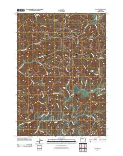 2011 Map of Gunter, 2011 Print