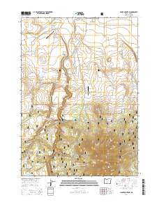 2014 Map of Hager Mountain, 2014 Print