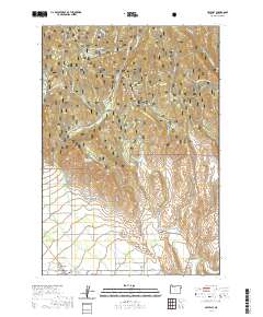 2020 Map of Halfway, 2020 Print