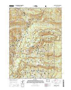2014 Map of Hamaker Butte, 2014 Print