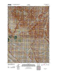 2011 Map of Hampton, 2011 Print
