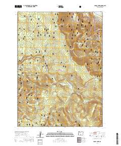 2020 Map of Harvey Creek, 2020 Print