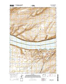 2014 Map of Hat Rock, 2014 Print