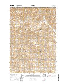 2014 Map of Helix, 2014 Print