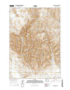 2014 Map of Henry Gulch, 2014 Print