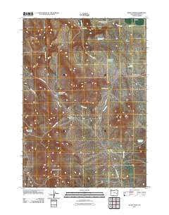 2011 Map of Hickey Basin, 2011 Print