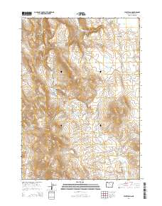 2014 Map of Hickey Basin, 2014 Print