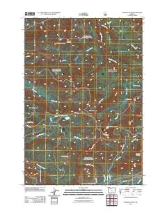 2011 Map of Hickman Butte, 2011 Print