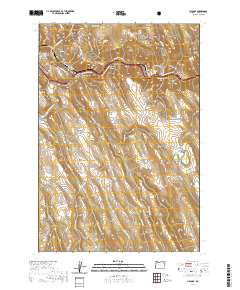 2020 Map of Hilgard, 2020 Print