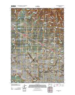 2011 Map of Hillsboro, 2011 Print