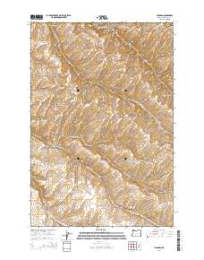 2014 Map of Holdman, 2014 Print