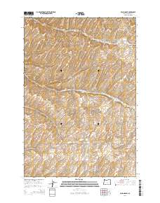 2014 Map of Holdman SE, 2014 Print