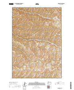2020 Map of Holdman SE, 2020 Print