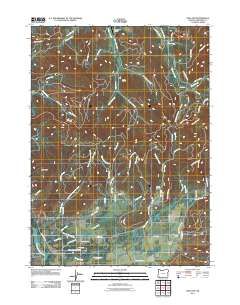 2011 Map of Holland, 2011 Print