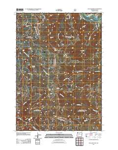 2011 Map of Holland Point, 2011 Print