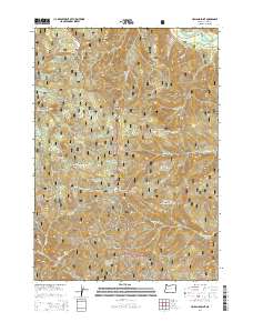 2014 Map of Holland Point, 2014 Print