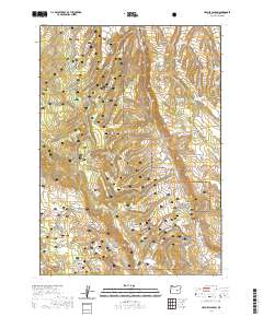 2020 Map of Holmes Canyon, 2020 Print