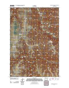 2011 Map of Horseshoe Bend, 2011 Print