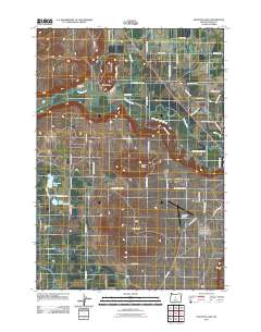 2011 Map of Houston Lake, 2011 Print