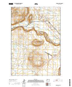 2020 Map of Houston Lake, 2020 Print