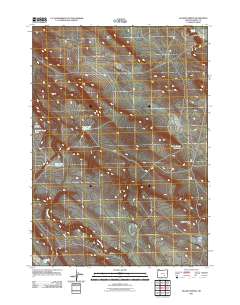 2011 Map of Hughet Spring, 2011 Print