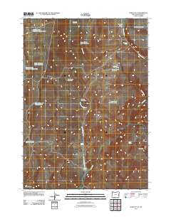 2011 Map of Hurley Flat, 2011 Print