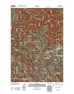 2011 Map of Huron, 2011 Print
